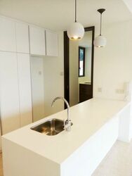 Terrene At Bukit Timah (D21), Condominium #272152211
